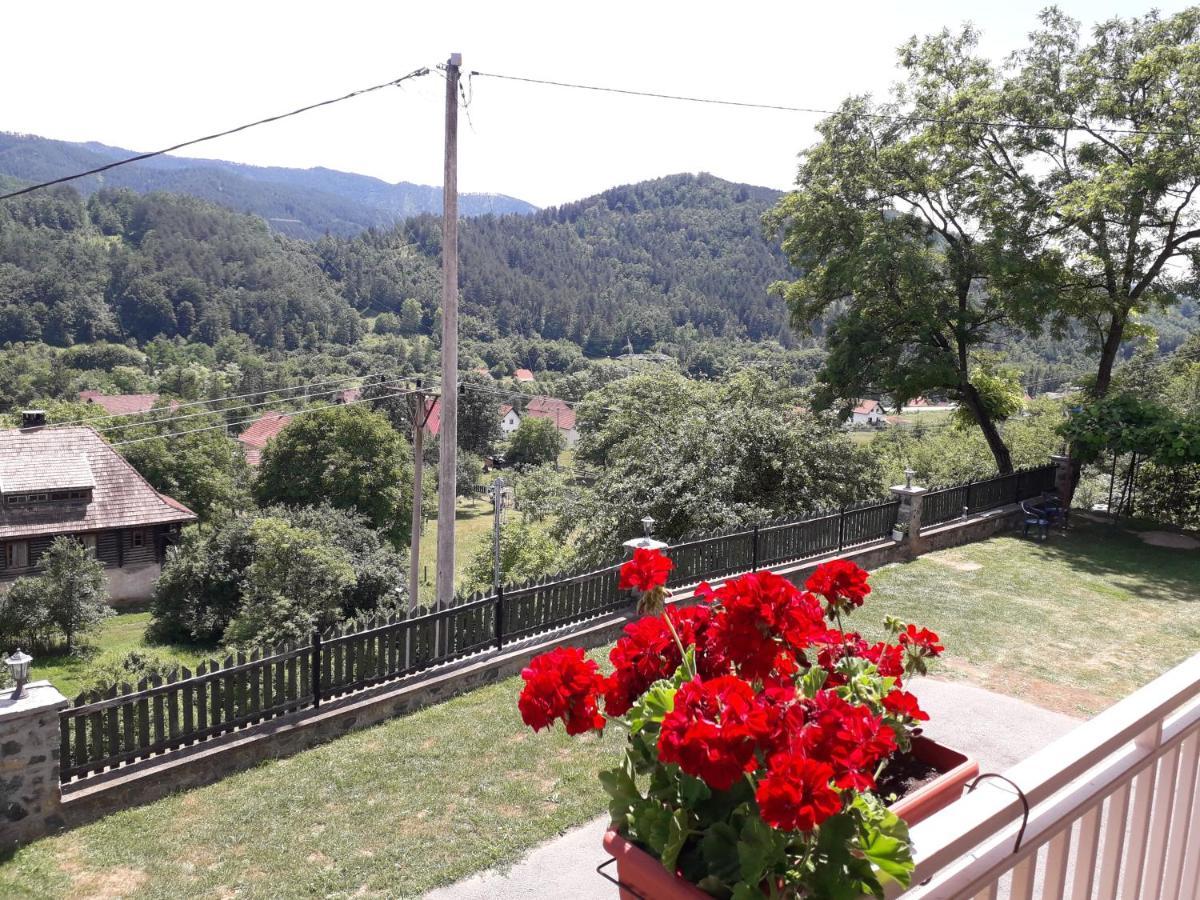Apartmani Maksimovic 모크라 고라 외부 사진