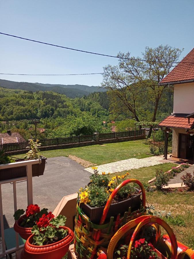 Apartmani Maksimovic 모크라 고라 외부 사진