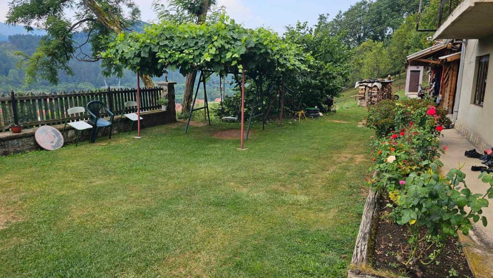 Apartmani Maksimovic 모크라 고라 외부 사진
