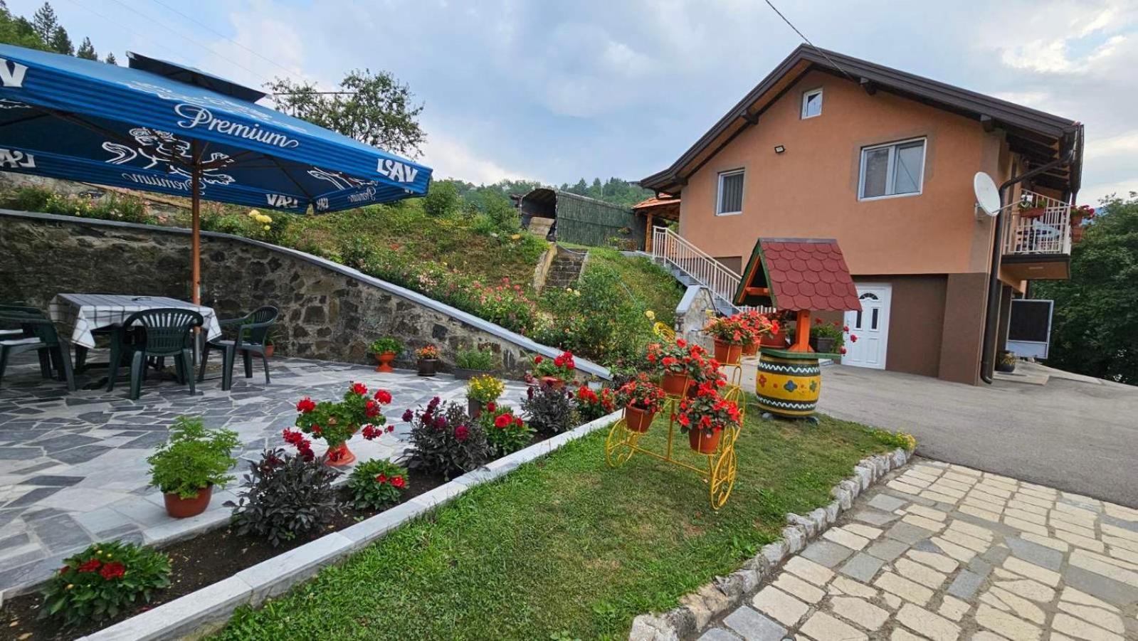Apartmani Maksimovic 모크라 고라 외부 사진