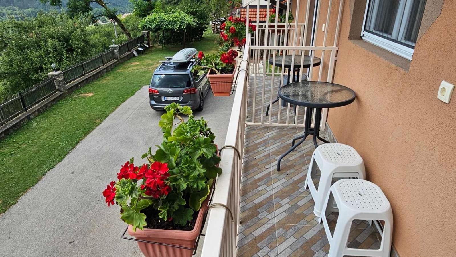 Apartmani Maksimovic 모크라 고라 외부 사진